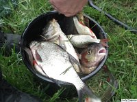 DSCF8680-piknikII-800Q100W9